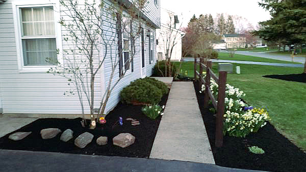 Landscaping Services: Corrective Pruning & Hedge Trimming in Rochester NY Region