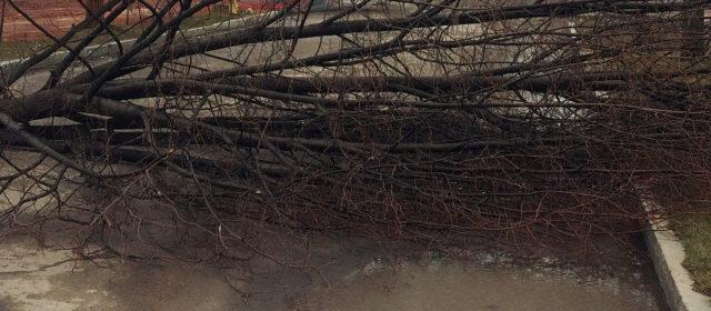 Massive Wind Storm Strikes Rochester Again in April 2018